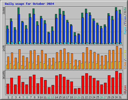 Daily usage for October 2024