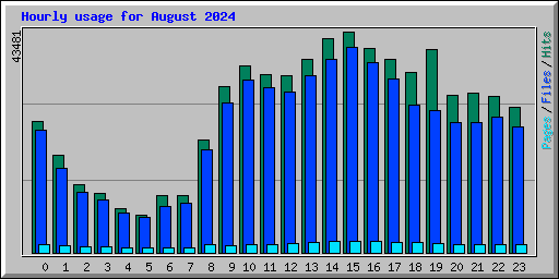 Hourly usage for August 2024