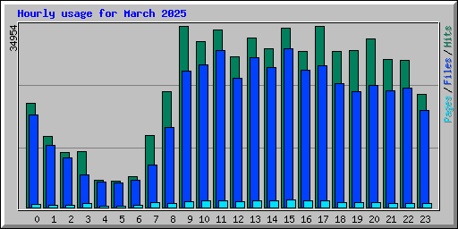 Hourly usage for March 2025