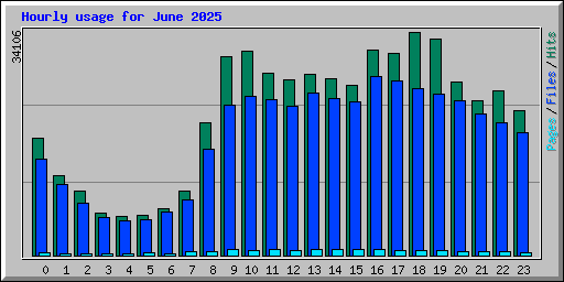 Hourly usage for June 2025