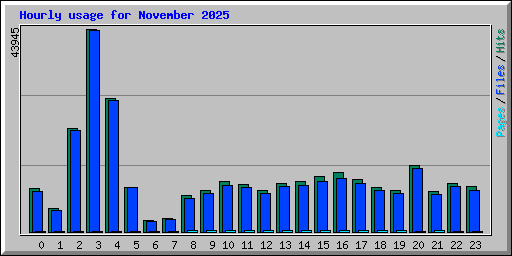 Hourly usage for November 2025