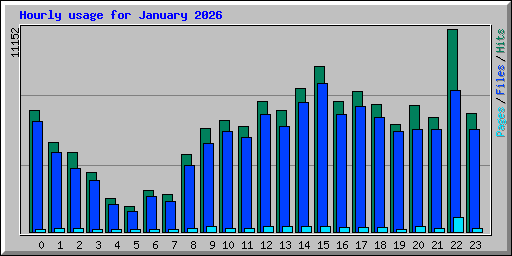 Hourly usage for January 2026