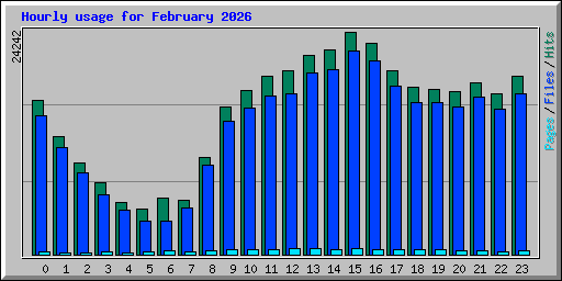 Hourly usage for February 2026