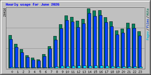 Hourly usage for June 2026